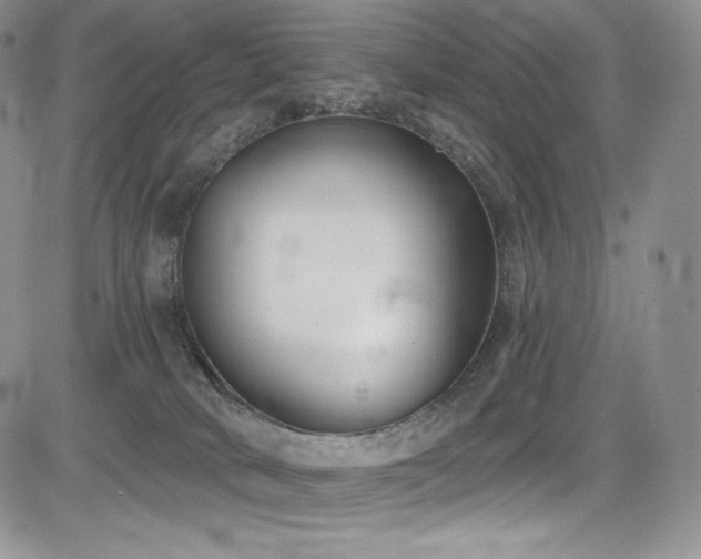 X0000085080034200703051445