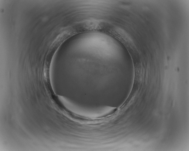 X0000085080035200703051445