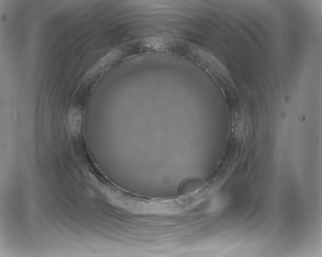 X0000085080036200703051445