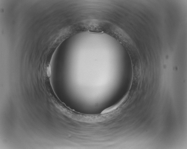 X0000085080037200703051445