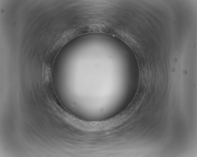 X0000085080038200703051445