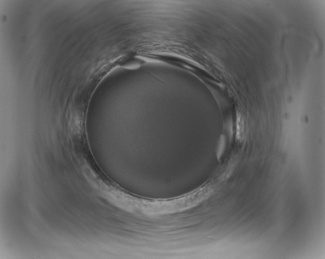 X0000085080039200703051445