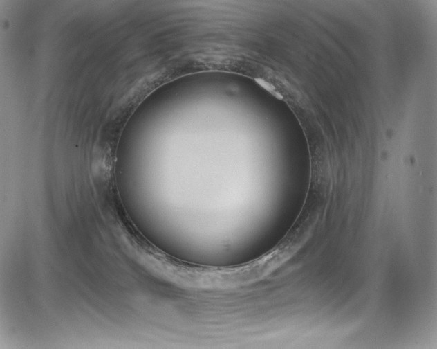 X0000085080040200703051445