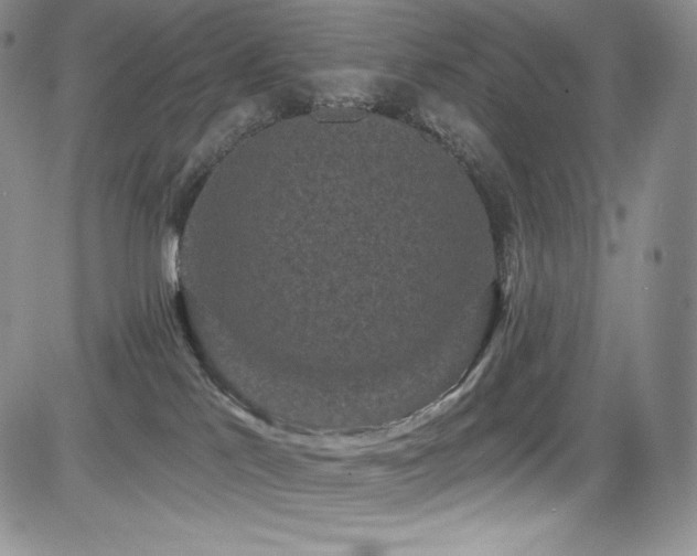 X0000085080041200703051445