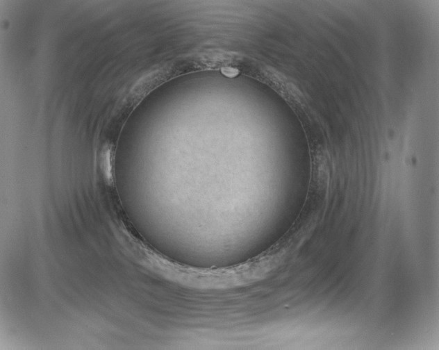 X0000085080042200703051445