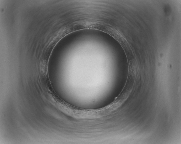 X0000085080044200703051445