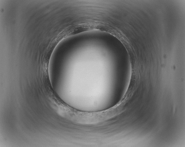 X0000085080045200703051445