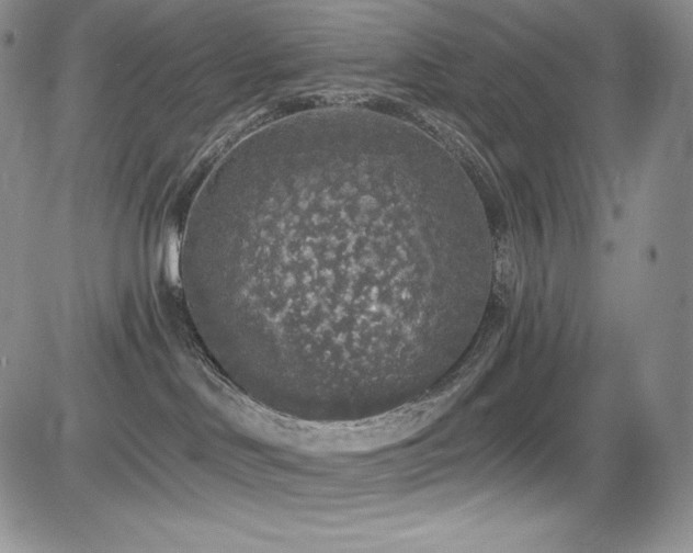 X0000085080046200703051445