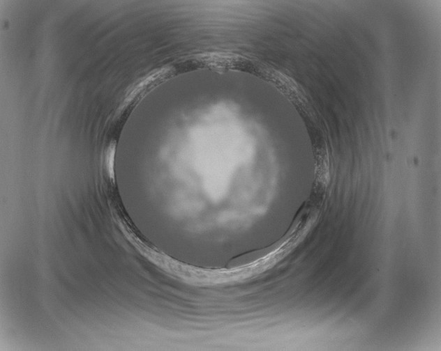 X0000085080047200703051445