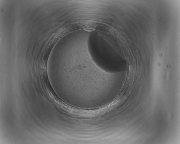 X0000085080048200703051445