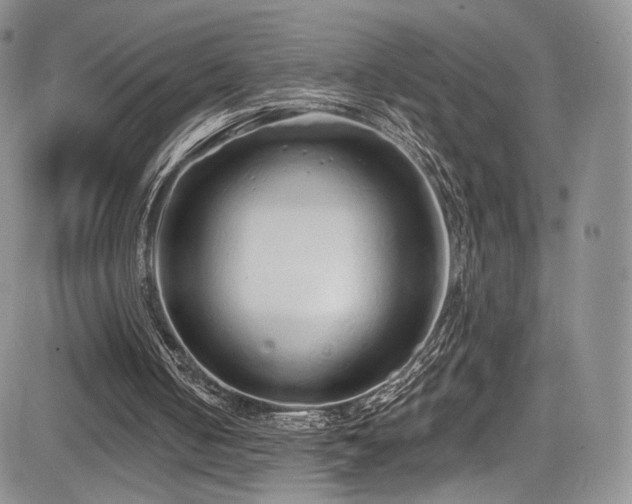 X0000085080050200703051444