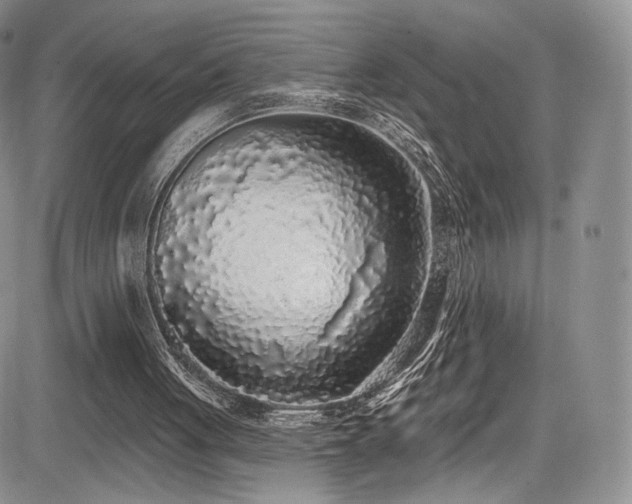 X0000085080051200703051444