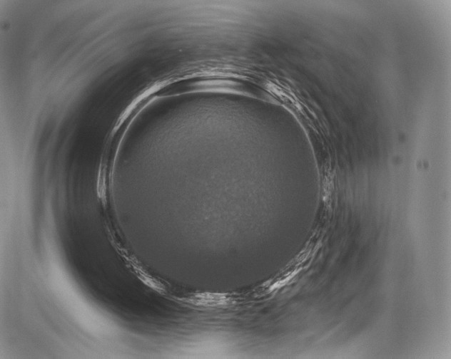 X0000085080052200703051444