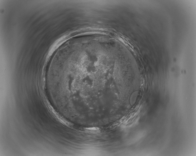 X0000085080053200703051444