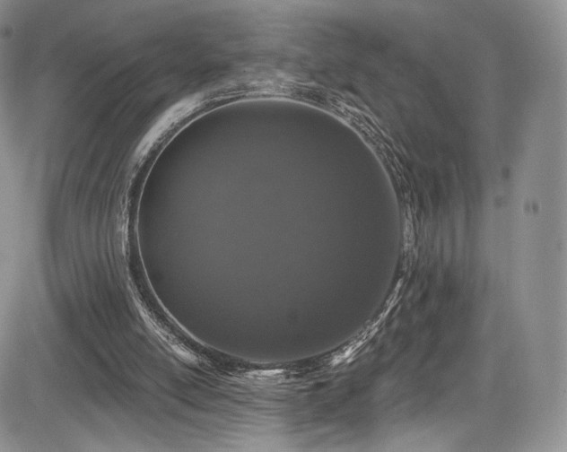 X0000085080054200703051444