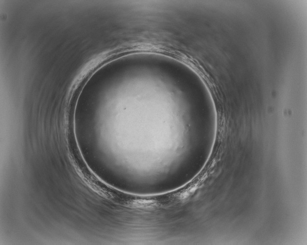 X0000085080055200703051444