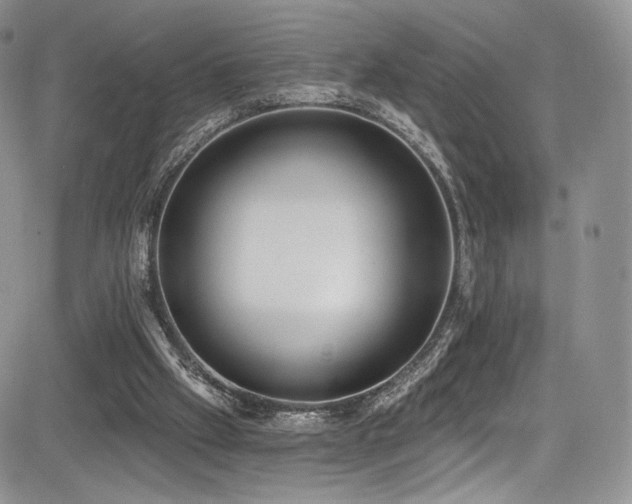 X0000085080057200703051444