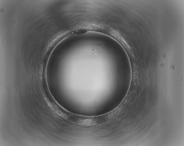 X0000085080058200703051444