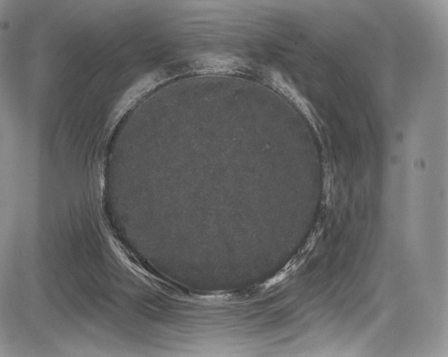 X0000085080059200703051444