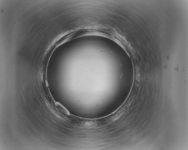 X0000085080060200703051444