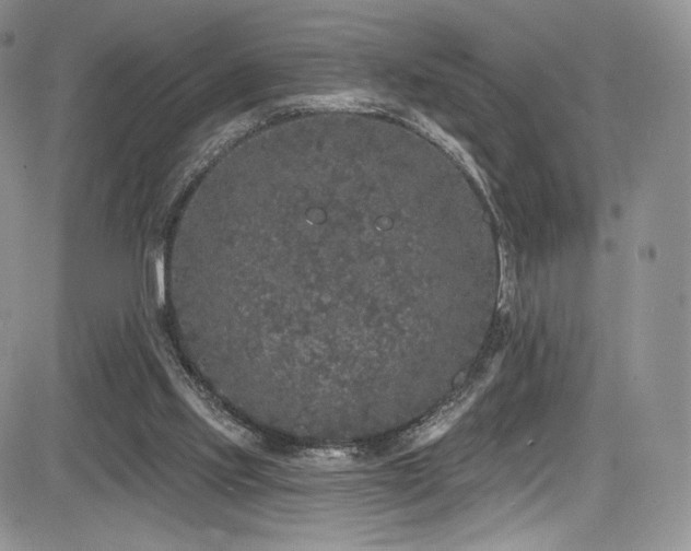 X0000085080061200703051444