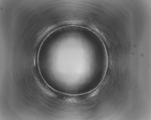 X0000085080062200703051444