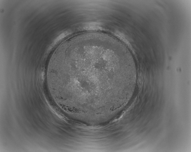 X0000085080063200703051444