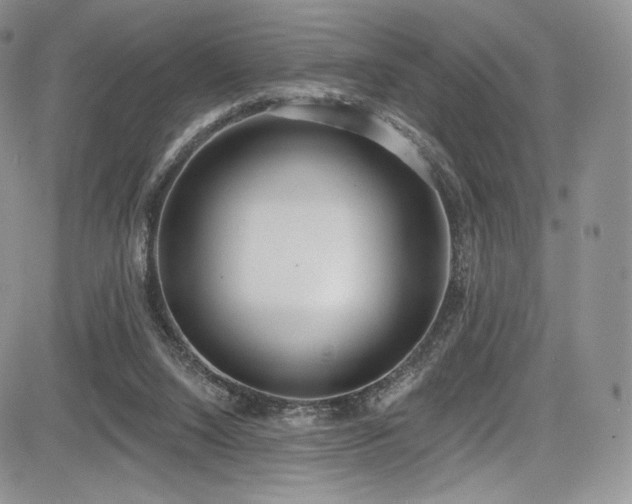 X0000085080064200703051444