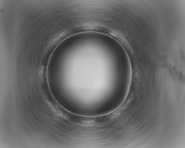 X0000085080066200703051444