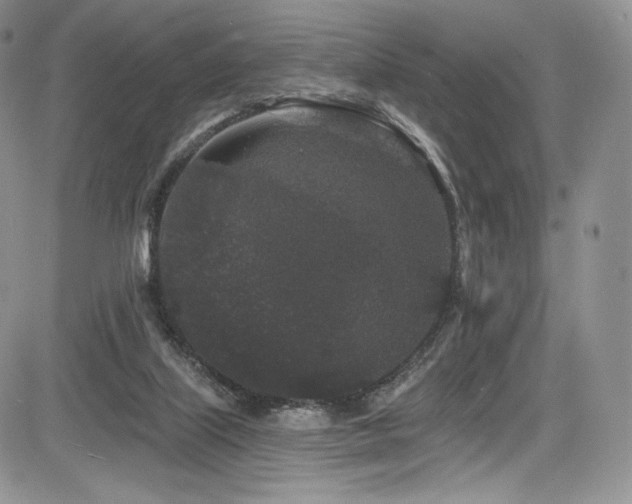 X0000085080067200703051444