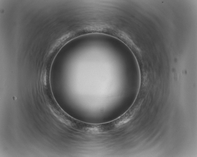 X0000085080068200703051444