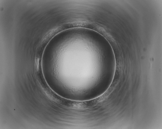 X0000085080070200703051444