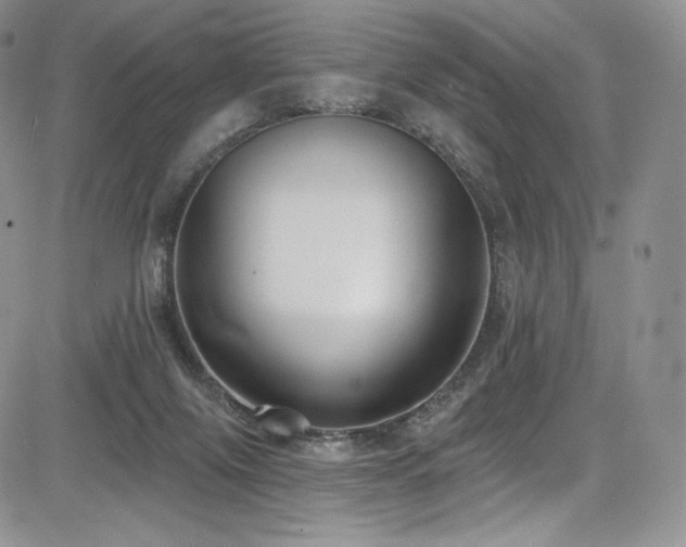 X0000085080071200703051444