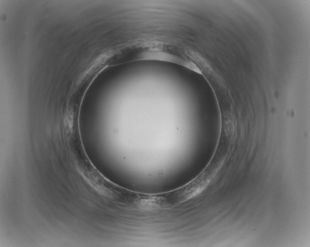 X0000085080072200703051444