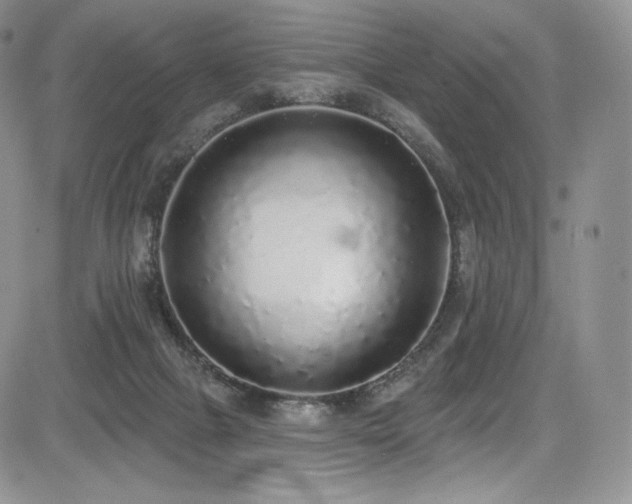 X0000085080073200703051444