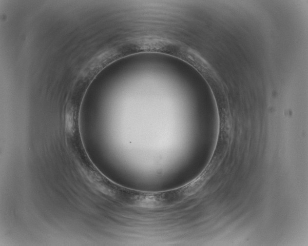 X0000085080074200703051444