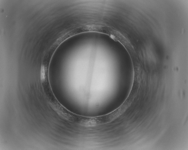 X0000085080075200703051444