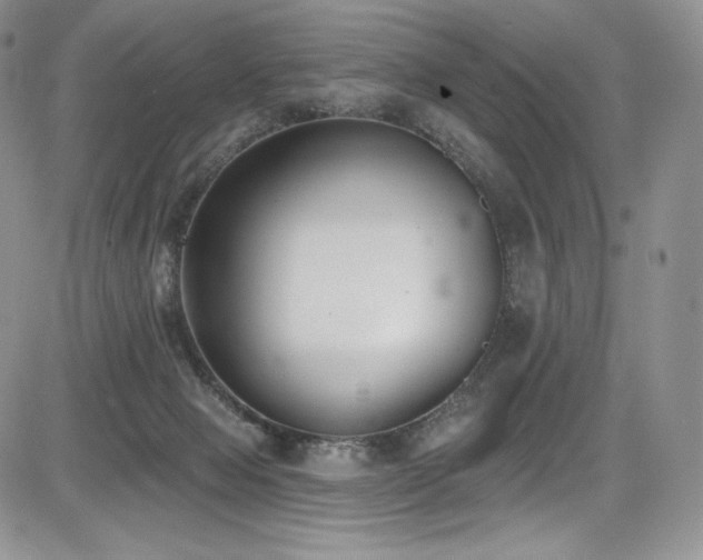 X0000085080077200703051444