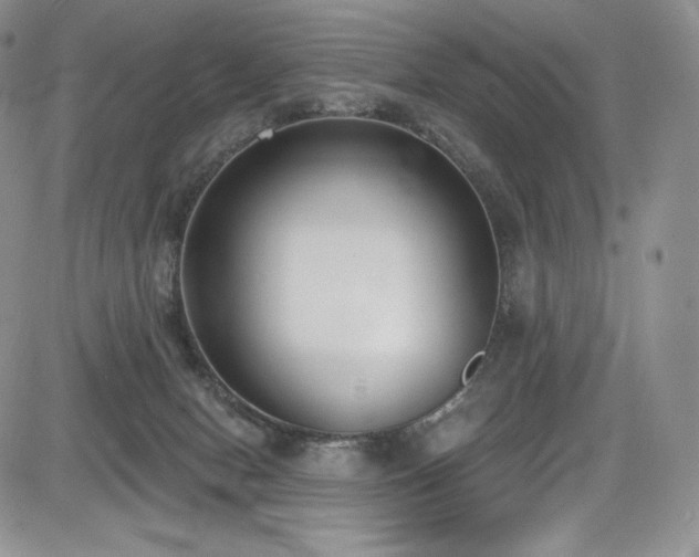 X0000085080078200703051444