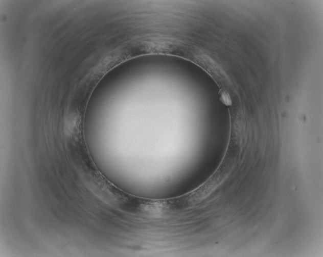 X0000085080079200703051444