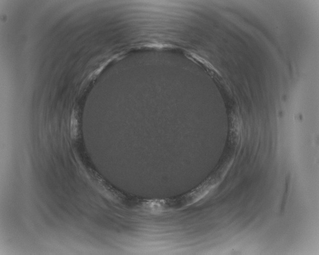 X0000085080080200703051444