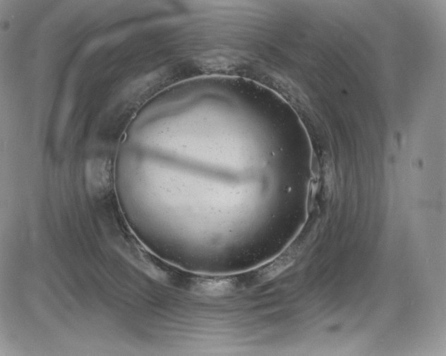 X0000085080081200703051444