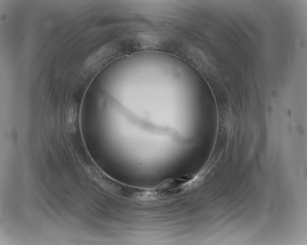 X0000085080082200703051444