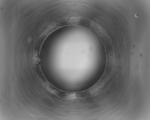 X0000085080083200703051444