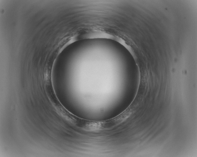 X0000085080084200703051444