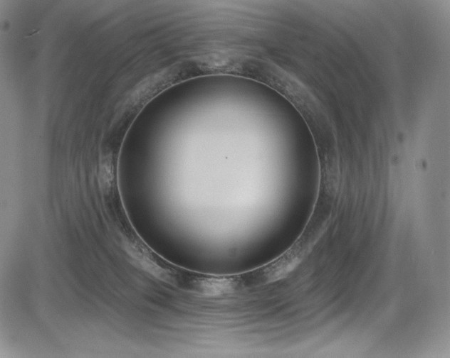 X0000085080085200703051444