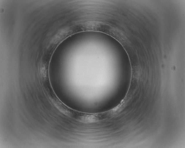 X0000085080086200703051444