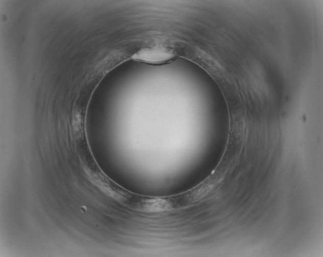 X0000085080087200703051444