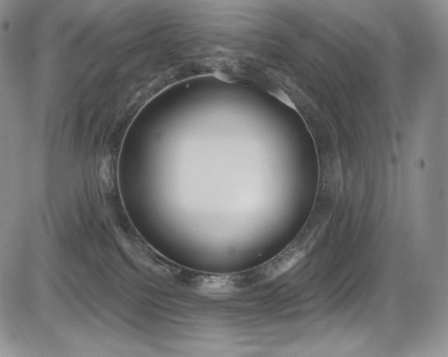 X0000085080088200703051444