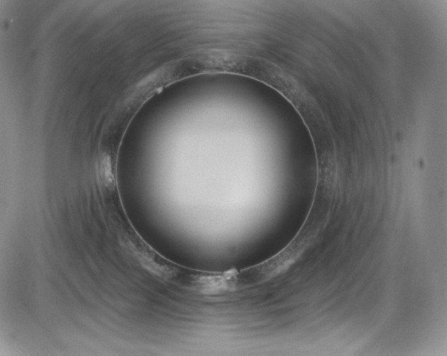 X0000085080089200703051444